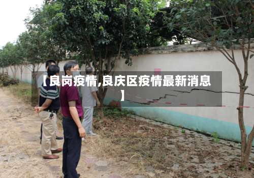 【良岗疫情,良庆区疫情最新消息】-第2张图片