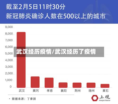 武汉经历疫情/武汉经历了疫情