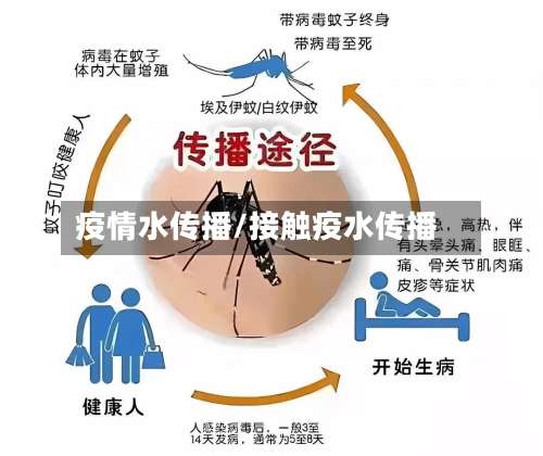 疫情水传播/接触疫水传播-第3张图片