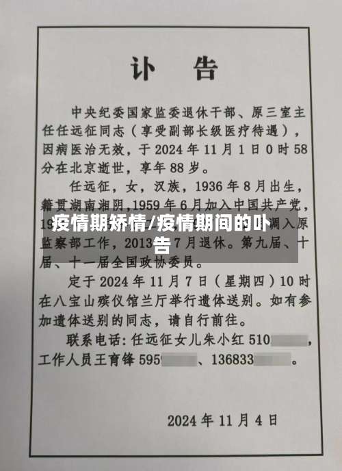 疫情期矫情/疫情期间的卟告
