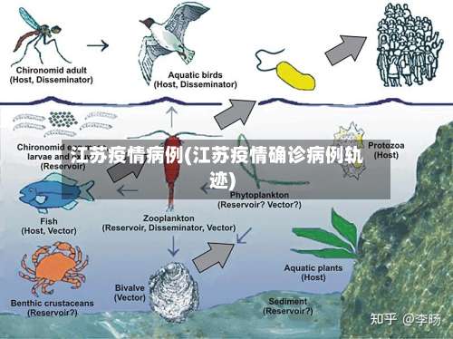 江苏疫情病例(江苏疫情确诊病例轨迹)