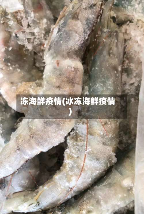 冻海鲜疫情(冰冻海鲜疫情)-第2张图片