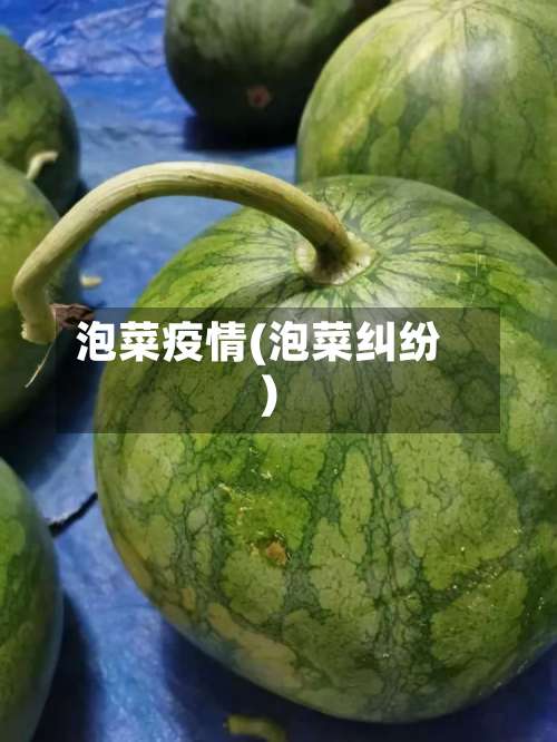 泡菜疫情(泡菜纠纷)