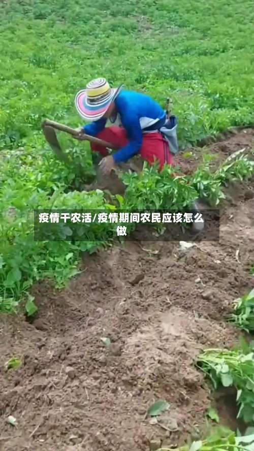 疫情干农活/疫情期间农民应该怎么做