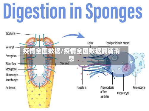 疫情全国数据/疫情全国数据最新消息