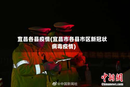 宜昌各县疫情(宜昌市各县市区新冠状病毒疫情)-第3张图片