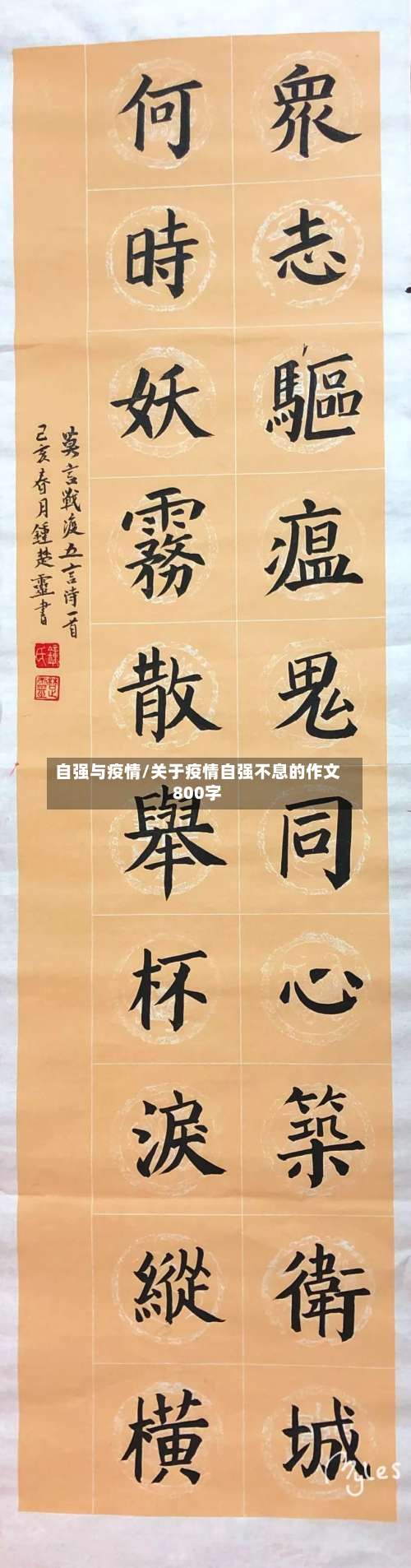 自强与疫情/关于疫情自强不息的作文800字-第2张图片