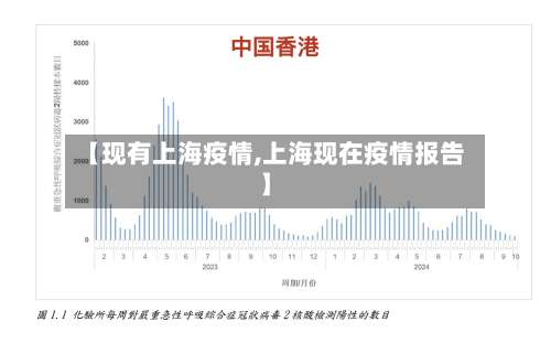 【现有上海疫情,上海现在疫情报告】