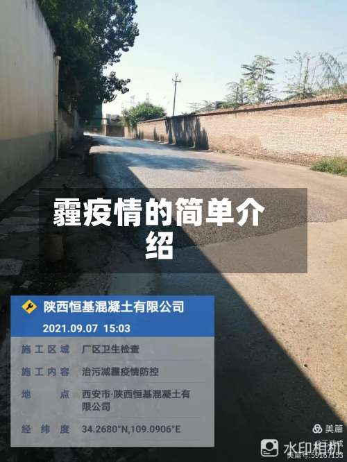霾疫情的简单介绍