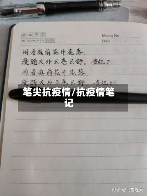 笔尖抗疫情/抗疫情笔记