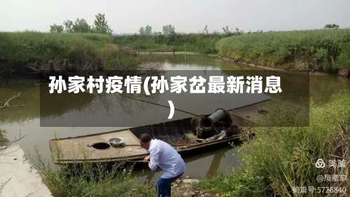 孙家村疫情(孙家岔最新消息)-第2张图片
