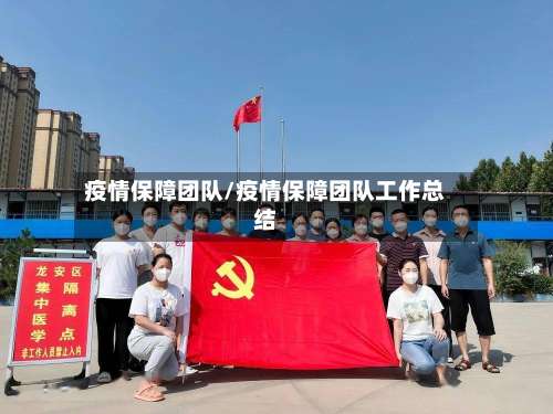 疫情保障团队/疫情保障团队工作总结