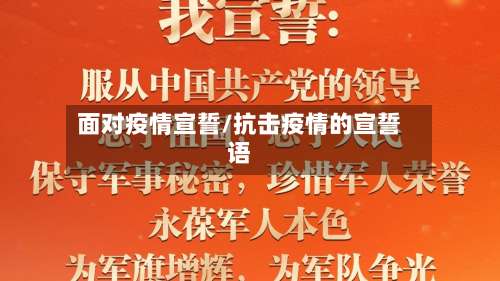 面对疫情宣誓/抗击疫情的宣誓语