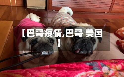 【巴哥疫情,巴哥 美国】