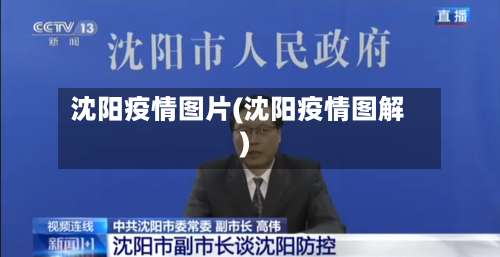 沈阳疫情图片(沈阳疫情图解)