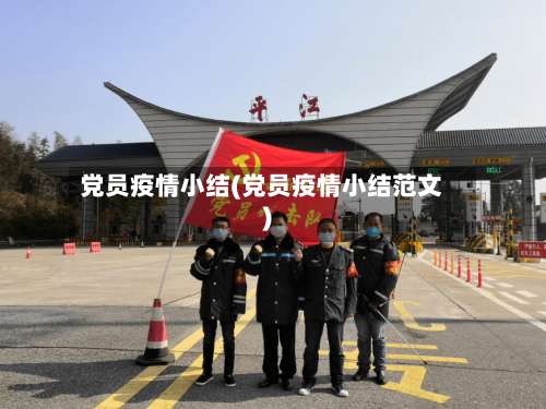 党员疫情小结(党员疫情小结范文)-第2张图片