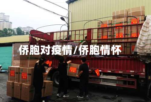 侨胞对疫情/侨胞情怀