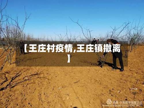 【王庄村疫情,王庄镇撤离】-第2张图片