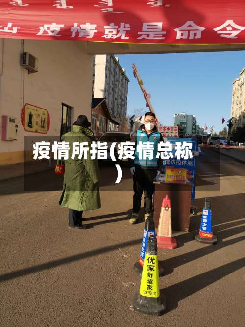 疫情所指(疫情总称)