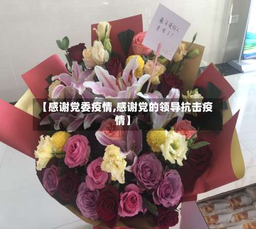 【感谢党委疫情,感谢党的领导抗击疫情】-第3张图片