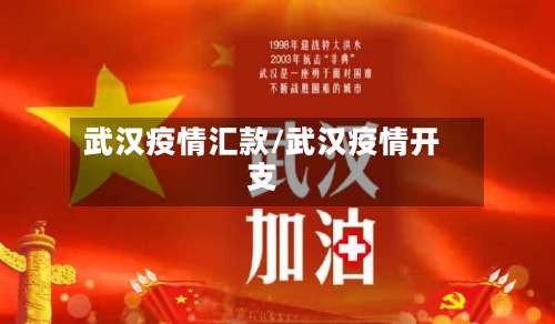 武汉疫情汇款/武汉疫情开支-第3张图片