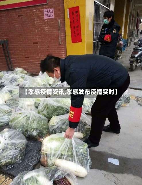 【孝感疫情资讯,孝感发布疫情实时】-第2张图片