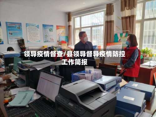 领导疫情督查/县领导督导疫情防控工作简报