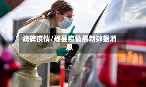 魏碑疫情/魏县疫情最新数据消息-第2张图片