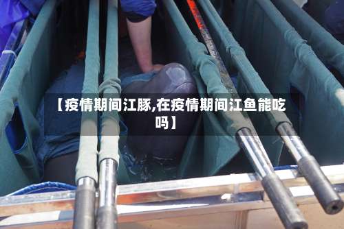 【疫情期间江豚,在疫情期间江鱼能吃吗】