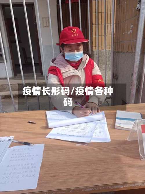 疫情长形码/疫情各种码-第3张图片