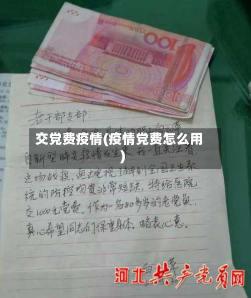 交党费疫情(疫情党费怎么用)-第3张图片