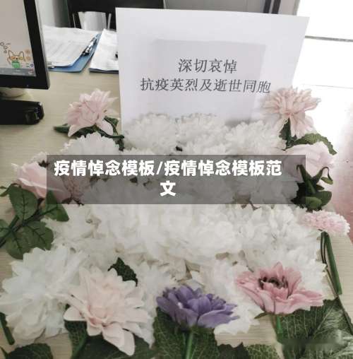 疫情悼念模板/疫情悼念模板范文-第2张图片