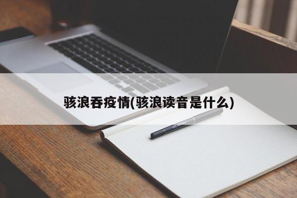 骇浪吞疫情(骇浪读音是什么)
